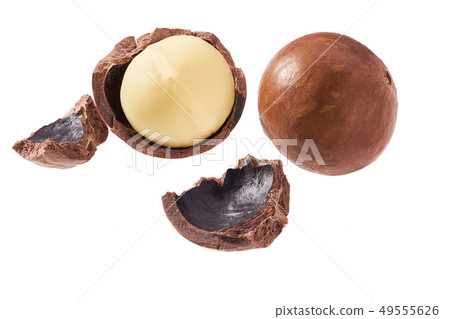Macadamia nut on white background Macadamia nut on white background 49555626