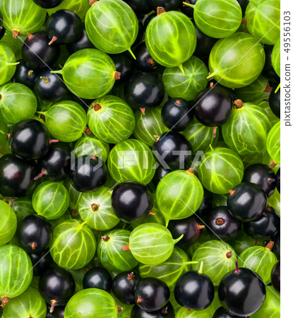Background of different berries and fruits. 49556103
