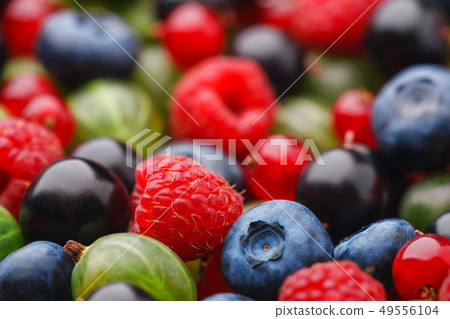 Berries colorful assorted mix .Selective focus 49556104