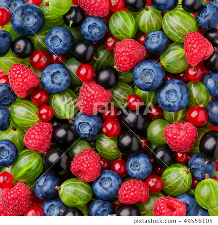 Close-up of fresh berries.Top view. 49556105