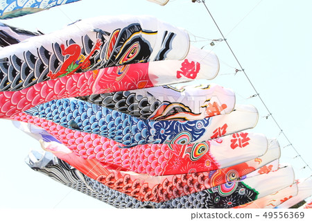 Sakura mountain park, carp streamer Sakura mountain park, carp streamer 49556369