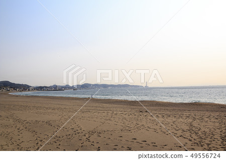 三浦海岸（春天） 49556724