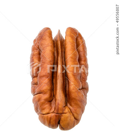 Single half of pecan, isolated on white background 49556807