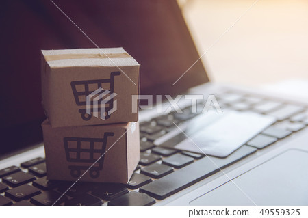 Shopping online concept - Shopping service on The 49559325