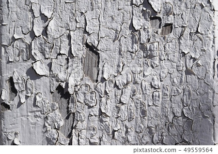 去皮的白色油漆 去皮的白色油漆 49559564