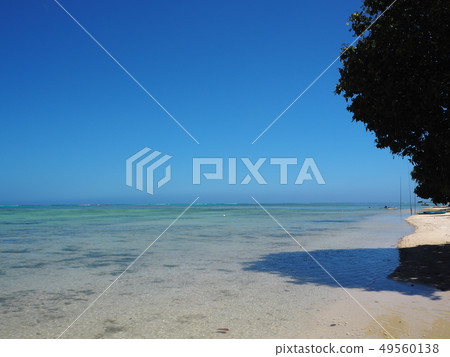 Tahiti blue sky and clear sea Tahiti blue sky and clear sea 49560138