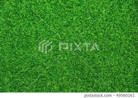 Green grass texture background. Top view with copy 49560161