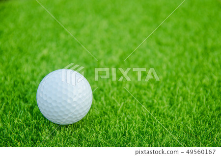 Golf ball on green grass ready to play at golf Golf ball on green grass ready to play at golf 49560167