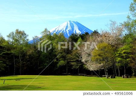 World Heritage Mt. Fuji Wild Bird Forest Park West Lake Fresh green World Heritage Mt. Fuji Wild Bird Forest Park West Lake Fresh green 49561006