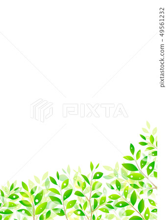 背景材料_木葉若葉青葉鮮綠 背景材料_木葉若葉青葉鮮綠 49561232