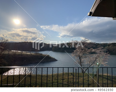 Idyllic scenery 49561930