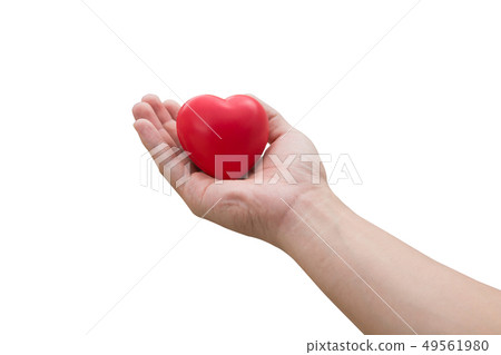 Red heart ball on hand isolated on white  49561980