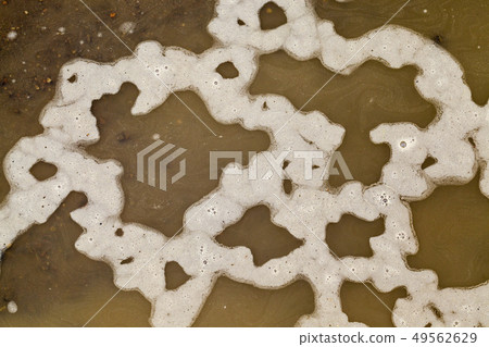 puddle mud, sand puddle mud, sand 49562629