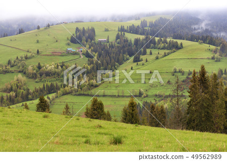 Beautiful landscapes of the Carpathian Mountains Beautiful landscapes of the Carpathian Mountains 49562989