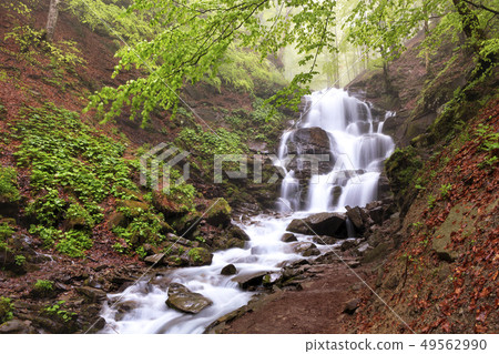 Beautiful and picturesque waterfall on a mountain Beautiful and picturesque waterfall on a mountain 49562990