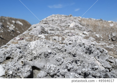 Seawall block 49564017