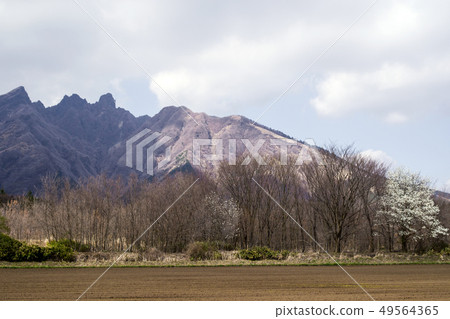 Aso Nekodake Kumamoto Prefecture Aso Nekodake Kumamoto Prefecture 49564365