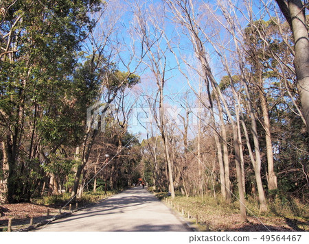 京都京都Kinomori Shimogamo神社 京都京都Kinomori Shimogamo神社 49564467
