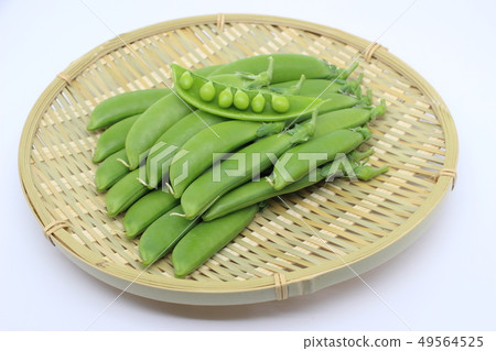 豌豆 豌豆 49564525