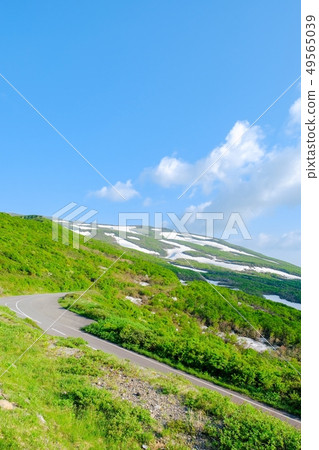 Bird sea blue line 49565039