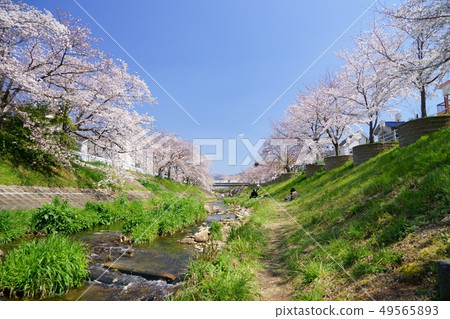 川邊/春浦羅/佐敦4 49565893