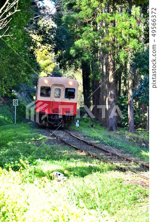 千葉縣，小柴鐵路 49566372