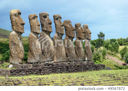 摩艾 49567872