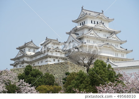 Cherry blossoms at Himeji castle 49568010