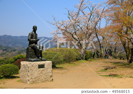 Taketa City Spring Cherry blossoms blooming Okajo Pass 49568015