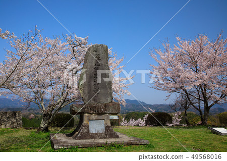 Taketa City Spring Cherry blossoms blooming Okajo Pass 49568016