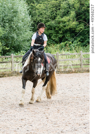 A girl practicing riding on a black and white horse 49568257