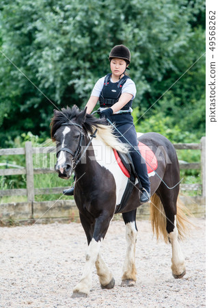 A girl practicing riding on a black and white horse A girl practicing riding on a black and white horse 49568262