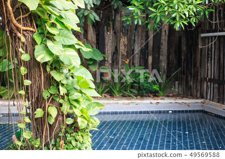 luxury villa and blue swimming pool luxury villa and blue swimming pool 49569588