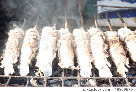 snakehead fish grilled with salt striped 49569679
