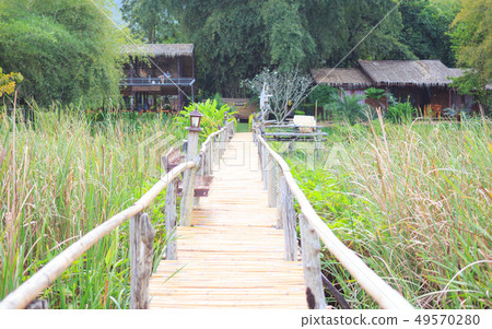 closeup bamboo way wooden bridge closeup bamboo way wooden bridge 49570280