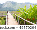 closeup bamboo way wooden bridge 49570294