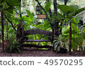 wooden bench in forest 49570295