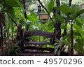 wooden bench in forest 49570296