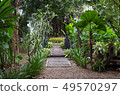wooden stairs footpath in green forest 49570297