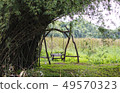 Swing under the bamboo tree 49570323