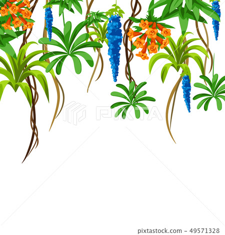 Twisted wild lianas branches background. Jungle vines plants. 49571328