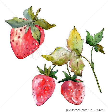 Strawberry healthy food isolated. Watercolor background set. Isolated berry illustration element. Strawberry healthy food isolated. Watercolor background set. Isolated berry illustration element. 49573255