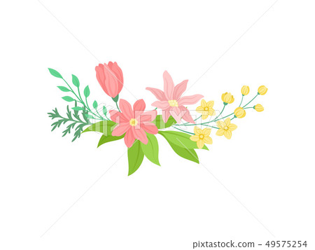 Seasonal flowers on white background. Nature... - Stock Illustration ...