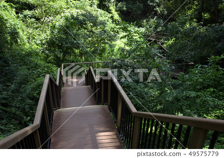 Walking path Walking path 49575779