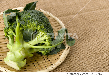 broccoli broccoli 49576296