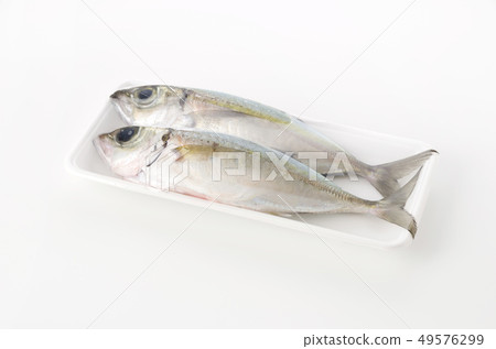 馬鮫魚,toppak,gachu(包裝) 馬鮫魚,toppak,gachu(包裝) 49576299