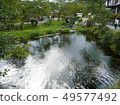 Daytime Ogawa 49577492
