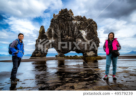 Hvitserkur - the unique basalt rock in Iceland. 49579239