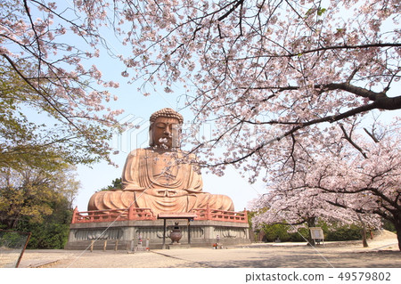 Yorakuen Big Buddha Spring 49579802