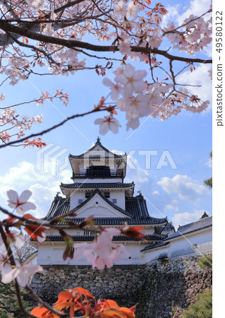 Spring of Kochi Castle 49580122